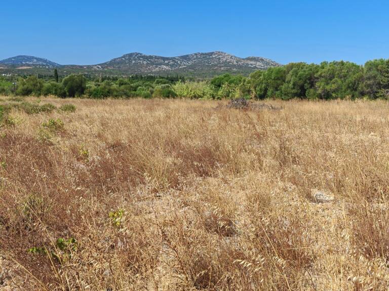 Vente Terrain agricole 595 m&sup2; — photo 1