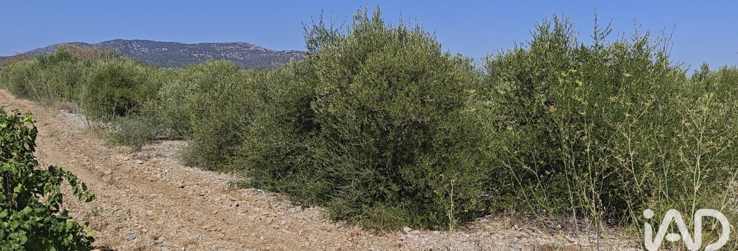 Terrain  3315 m² à vendre à La Palme (11480)