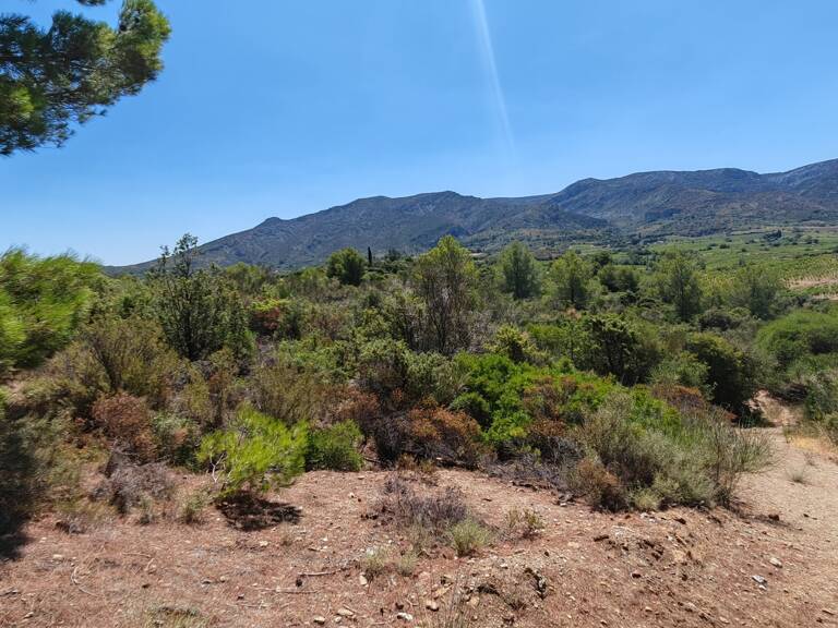 Vente Terrain agricole 9 404 m&sup2; — photo 1