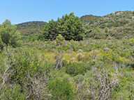 Vente Terrain agricole 9 404 m&sup2; — photo 4