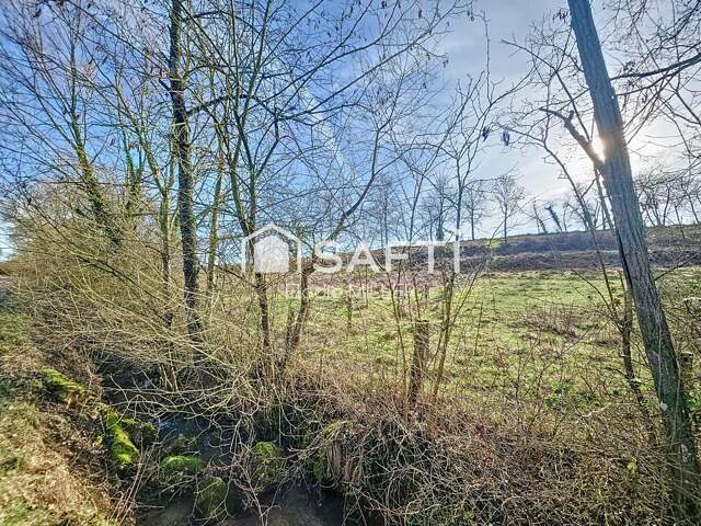 Terrain agricole 7 325m² — photo du bien