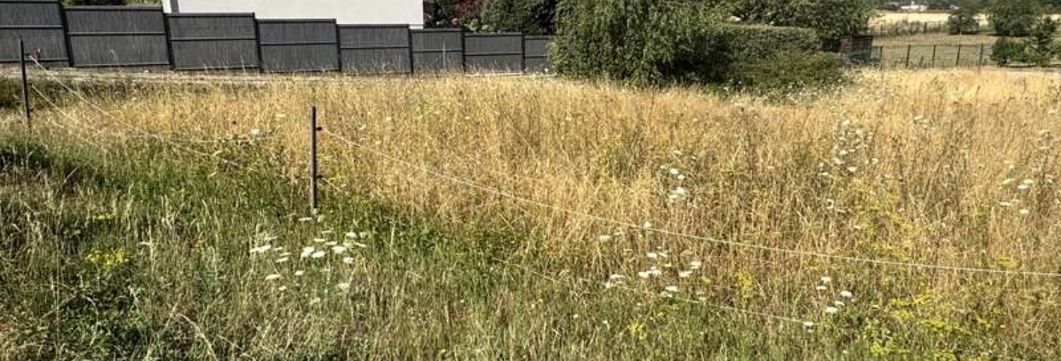 Terrain  1000 m² à vendre à Médan (78670)