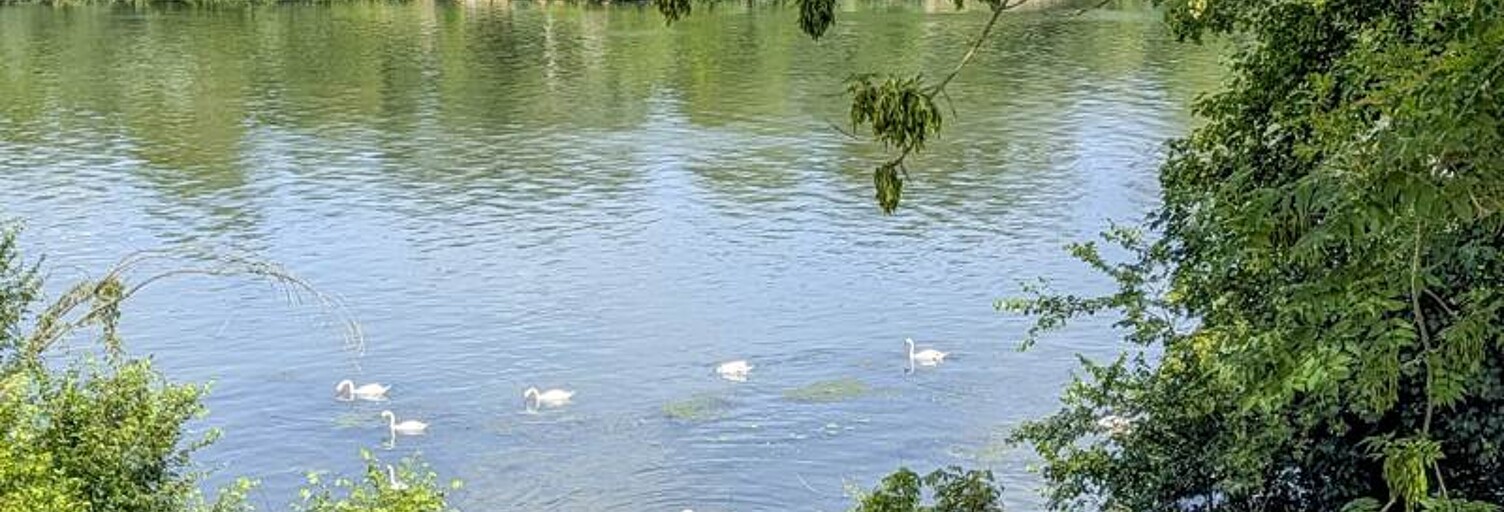 Photo N° 2