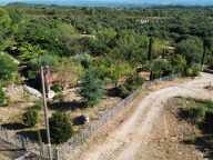 A VENDRE PROPRIETE DE 8 HECTARES  AU COEUR DU  MINERVOIS (34) — photo 2