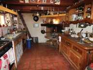 A VENDRE PROPRIETE DE 8 HECTARES  AU COEUR DU  MINERVOIS (34) — photo 4