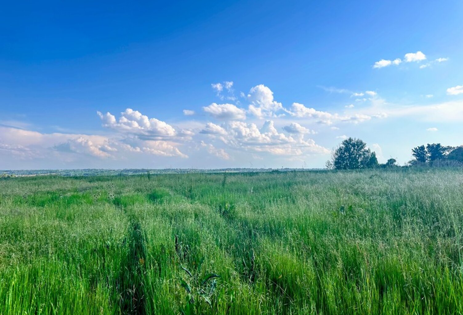 EXCLUSIVITÉ - Terrain à bâtir – 840 m² — photo 1