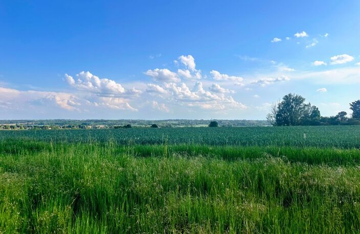 EXCLUSIVITÉ - Terrain à bâtir – 840 m² — photo 2