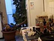 Chambre de 14m2 à louer sur Riedisheim — photo 4