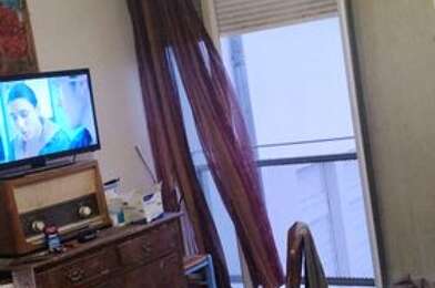 Appartement 1 pièces 360 €