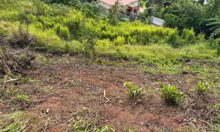 Terrain  450 m² à vendre à La Trinité (97220)