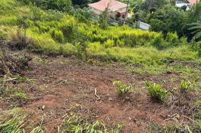 Terrain  95000 €