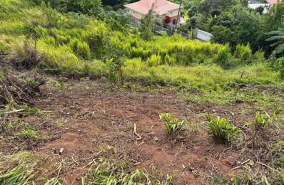 Terrain à vendre de 450,00 m² LA TRINITE (972) — photo du bien