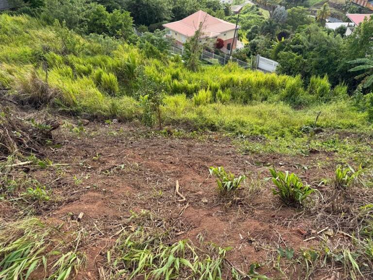 Terrain à vendre de 450,00 m² LA TRINITE (972) — photo 1