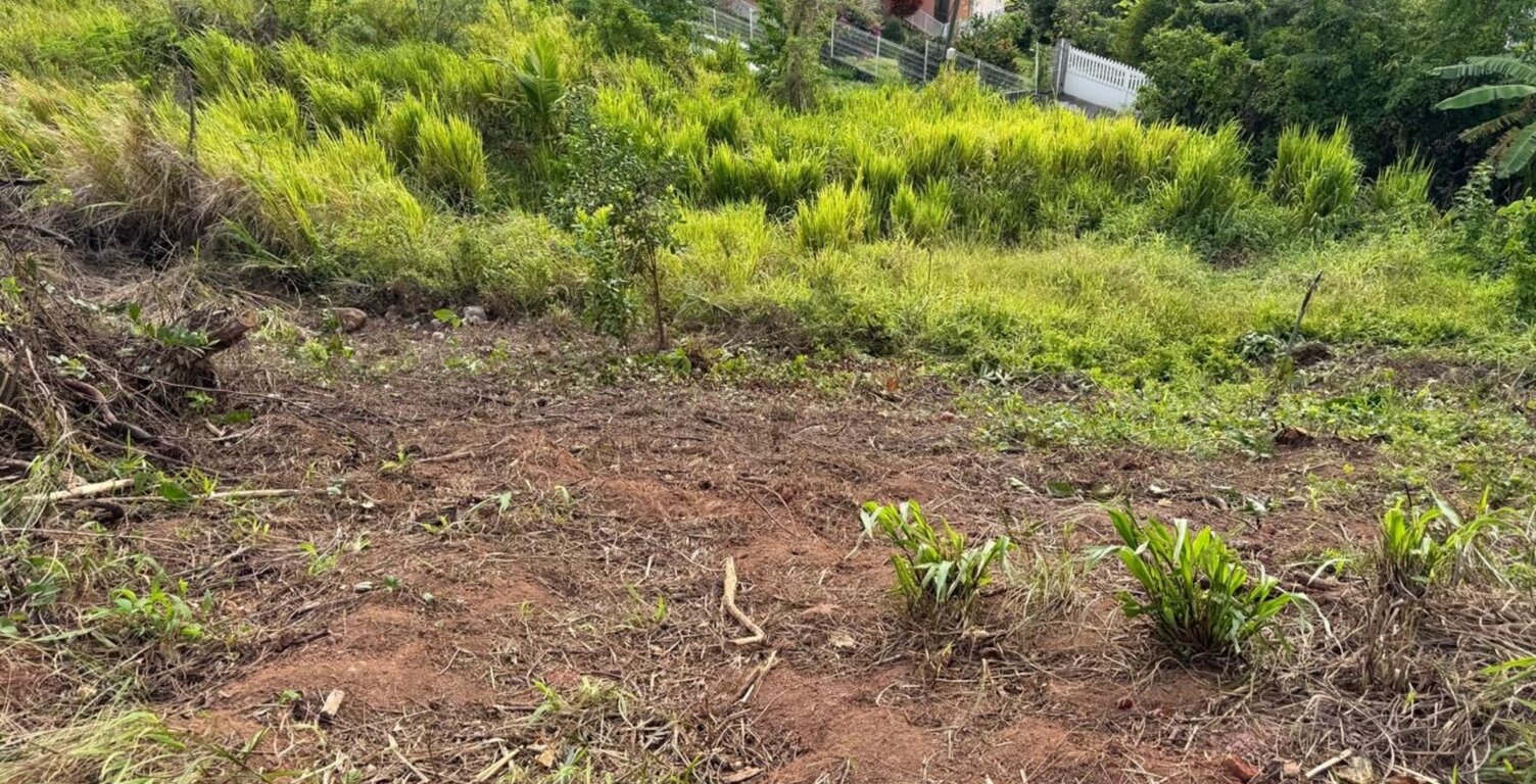 Terrain à vendre de 450,00 m² LA TRINITE (972) — photo 1