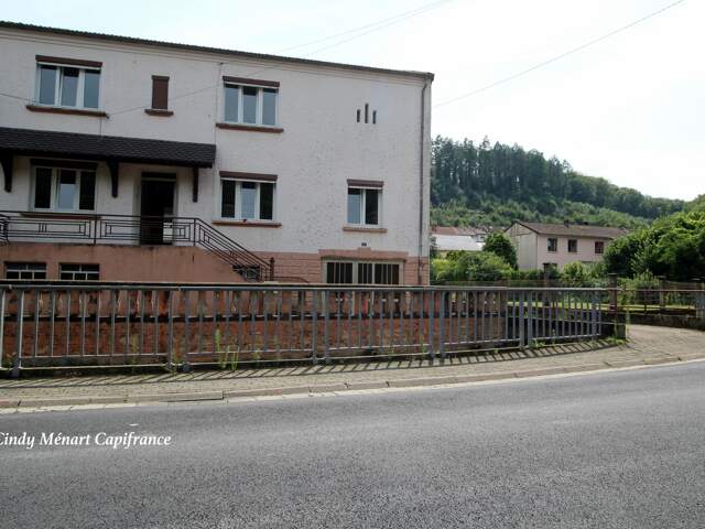 Maison à vendre 5 pièces DALEM (57), garage, sous sol et jardin — photo du bien