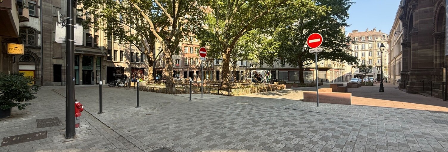 Commerce 1 Pièce 61 m² à vendre à Strasbourg (67000)