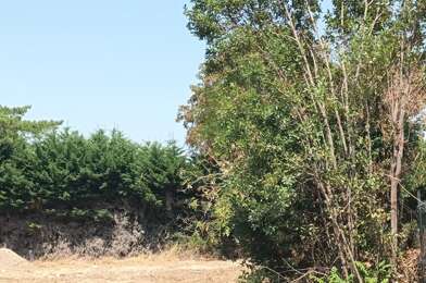 Terrain  350000 €