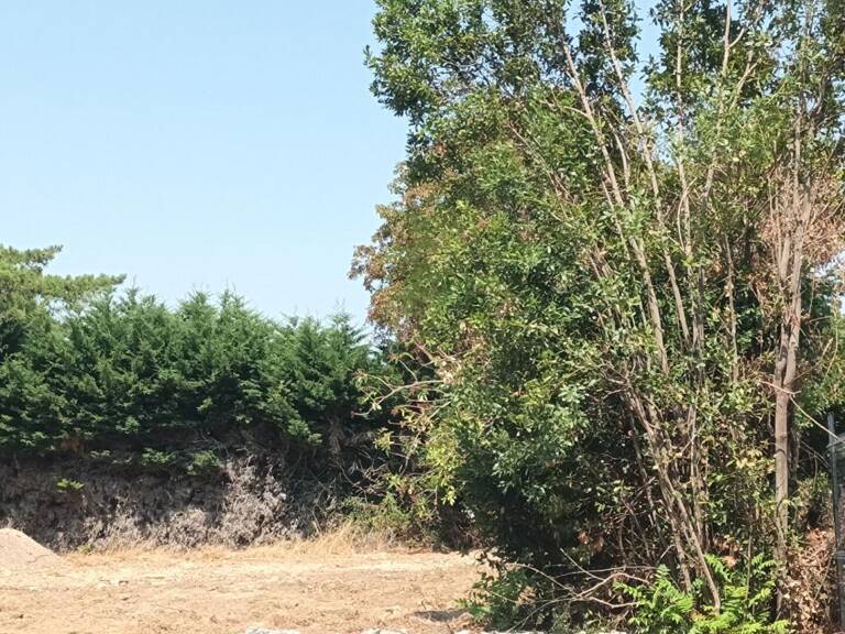 Terrain Nieul Sur Mer 1162 m2 — photo 1