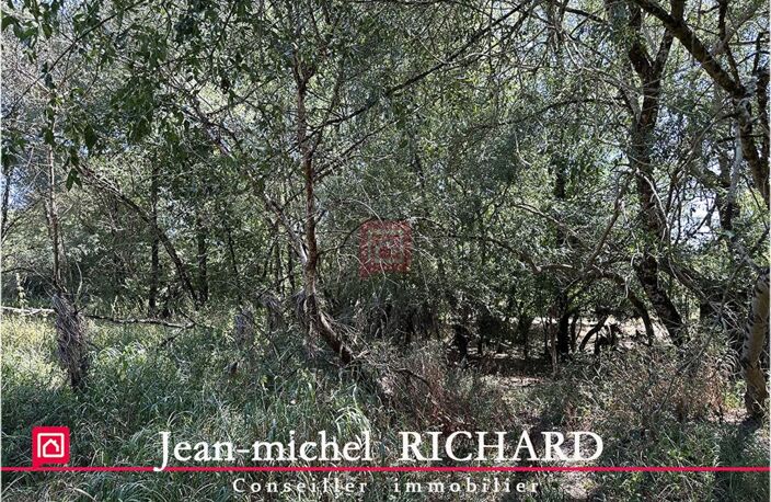 Terrain de loisirs SAULDRE Selles Sur Cher 3200 m2 — photo 5