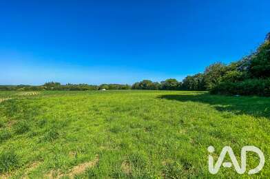 Terrain  99950 €