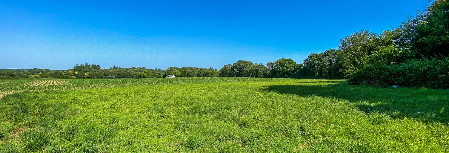 Terrain  674 m² à vendre à Languidic (56440)