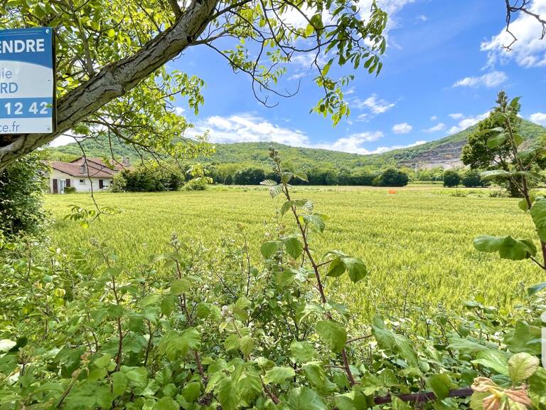 Vente Terrain à bâtir 4 300 m&sup2; — photo 1