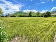 Vente Terrain à bâtir 4 300 m&sup2; — photo 2