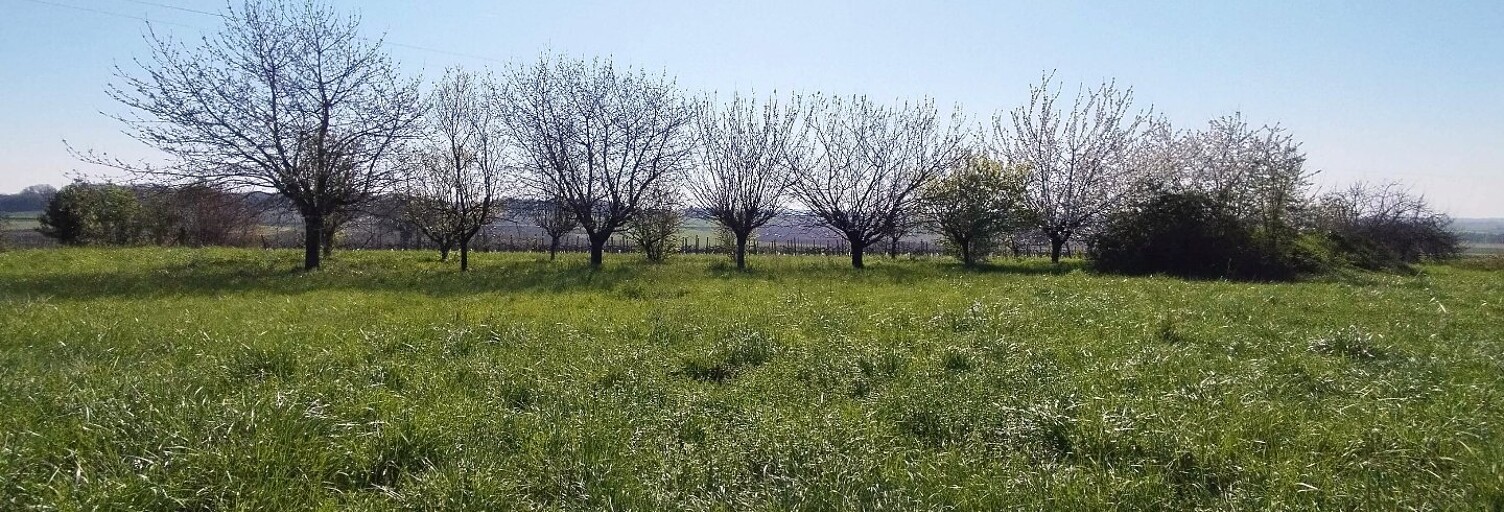 Terrain  5642 m² à vendre à Saint-Maigrin (17520)