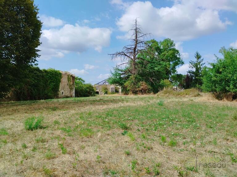Terrain — photo 1