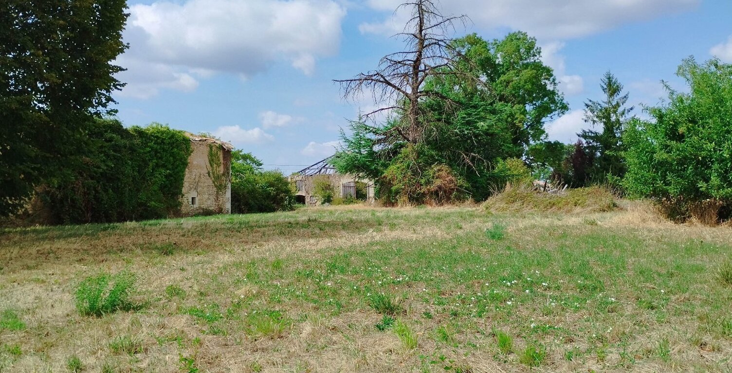 Terrain — photo 1