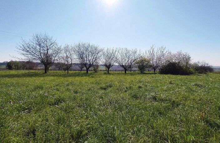 Terrain — photo 2
