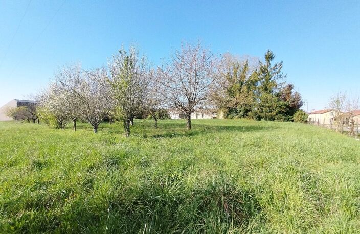 Terrain — photo 3