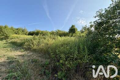 Terrain  210000 €