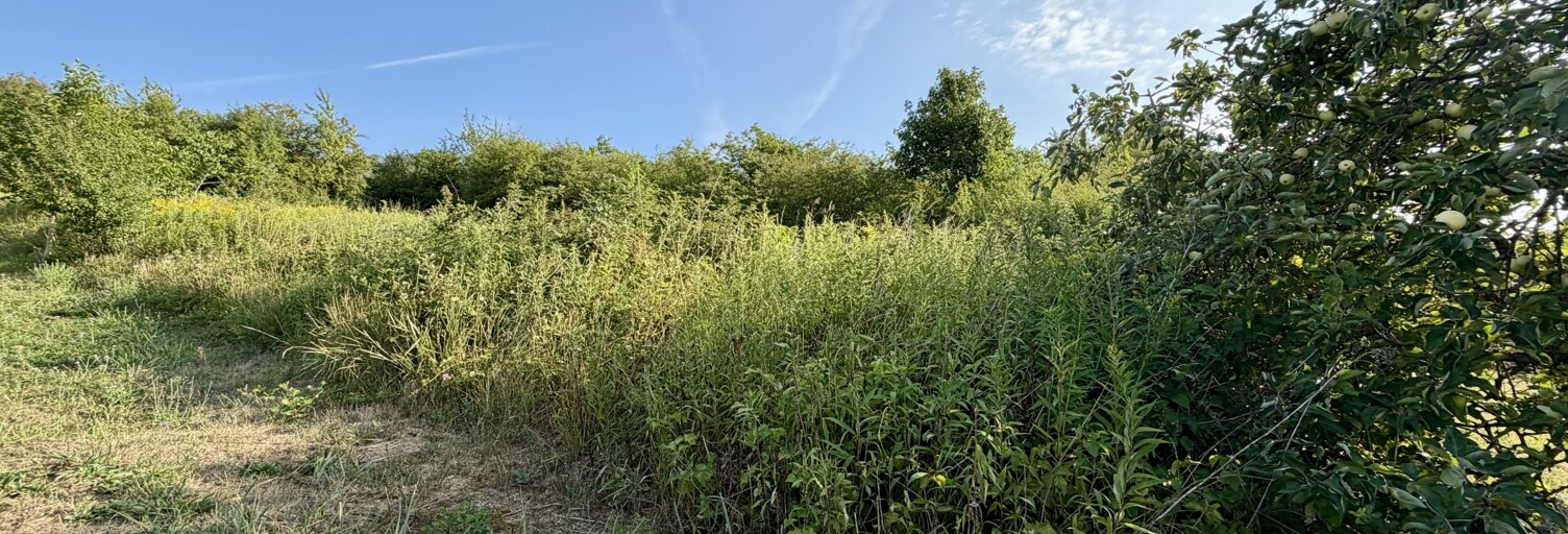 Terrain  1707 m² à vendre à Illfurth (68720)