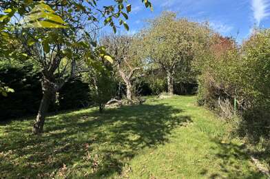 Terrain  205000 €