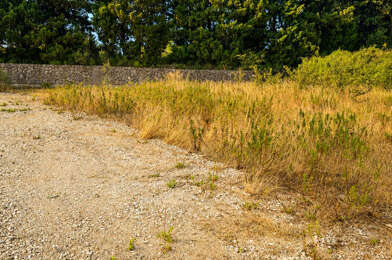 Terrain  163000 €