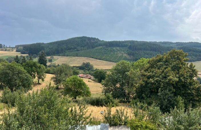 Maison à vendre 6 pièces Proche de LAMURE SUR AZERGUES (69) — photo 3