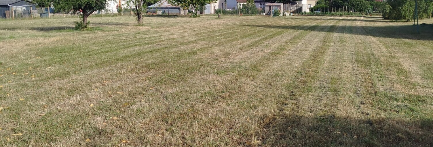Terrain  981 m² à vendre à Sambin (41120)