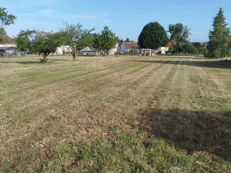 Terrain à vendre de 981,00 m² SAMBIN (41) — photo 1
