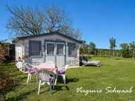 Dpt Landes (40), HABAS, SUPERBE MAISON LANDAISE AVEC LOGEMENT INDEPENDANT, ATELIER ET GARAGE, TERRAIN 2112 M2 — photo 2