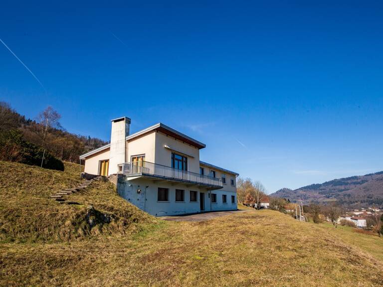 RUPT SUR MOSELLE (88)A vendre propriété T 10 pièces de 195m² sur sous sol + 4 box à chevaux +rucher, terrain 3.6 hectares — photo 1