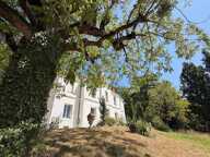 Élégant manoir avec maison d'amis, 11 hectares et vue panoramique — photo 2