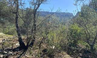 Terrain  2000 m² à vendre à Plan-d'Aups-Sainte-Baume (83640)