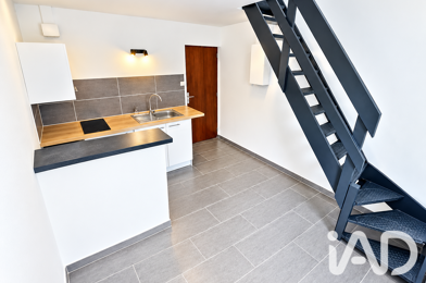 Appartement 2 pièces 490 €