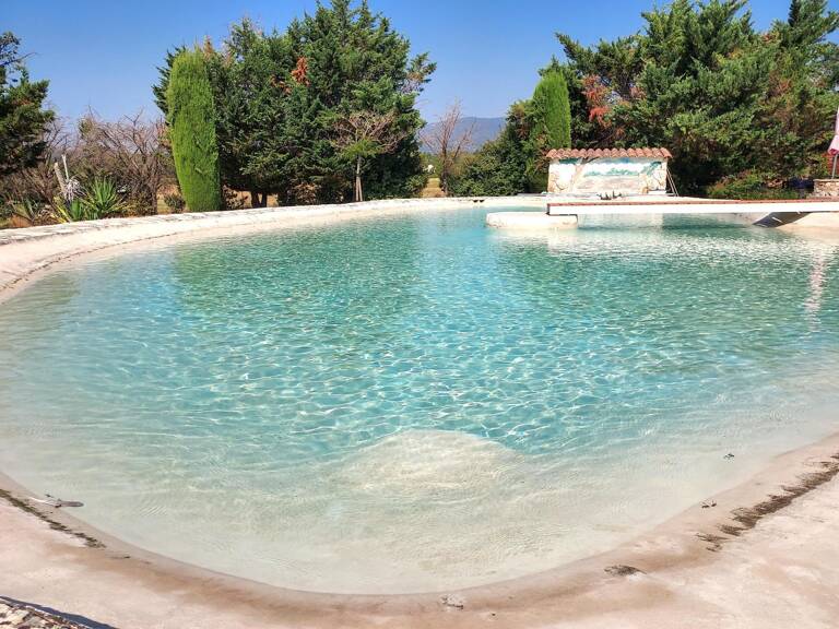 Superbe propriété de 182 m² avec piscine lagon et dépendance — photo 1