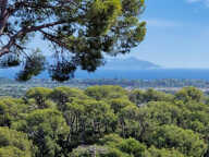 T4 HYERES TRAVERSANT TERRASSE VUE MER — photo 2