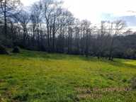 Dpt Pyrénées Atlantiques (64), à vendre BUROS terrain — photo 3