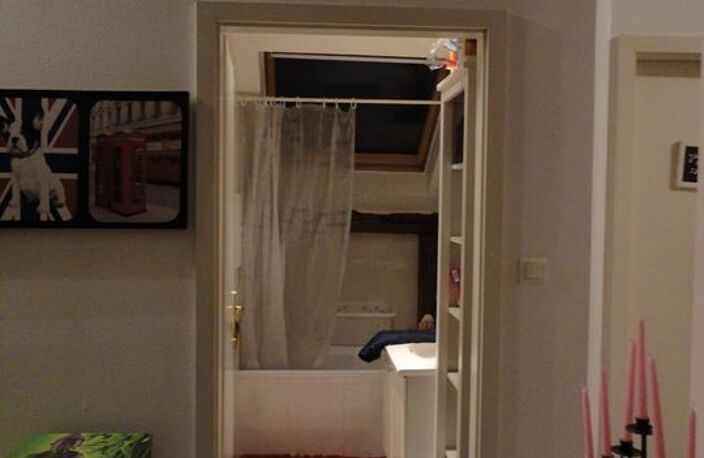 Appartement de 66m2 à louer sur Strasbourg — photo 5