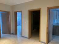 Appartement de 120m2 à louer sur Rauwiller — photo 3