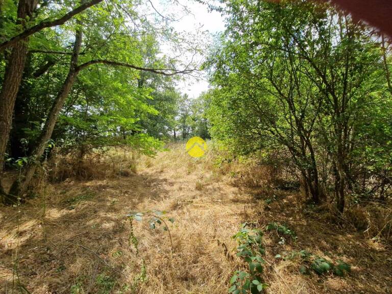 Terrain constructible de 2505 m² — photo 1